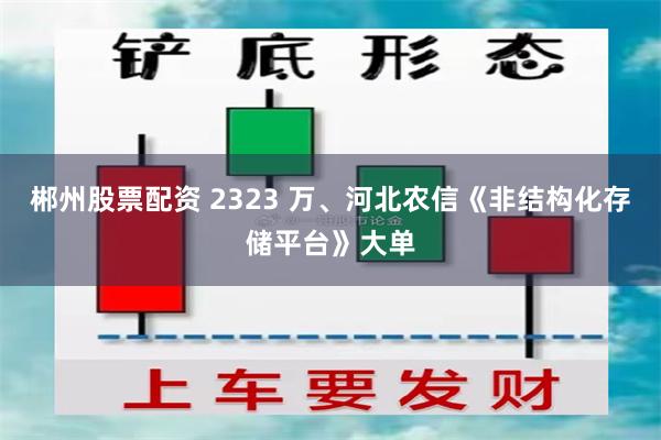 郴州股票配资 2323 万、河北农信《非结构化存储平台》大单