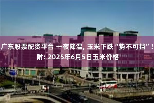 广东股票配资平台 一夜降温, 玉米下跌“势不可挡”! 附: 2025年6月5日玉米价格
