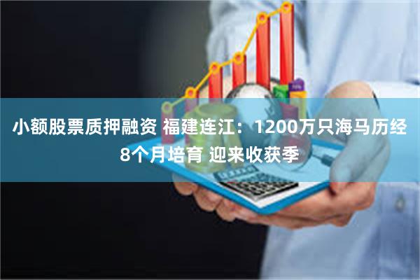 小额股票质押融资 福建连江：1200万只海马历经8个月培育 迎来收获季