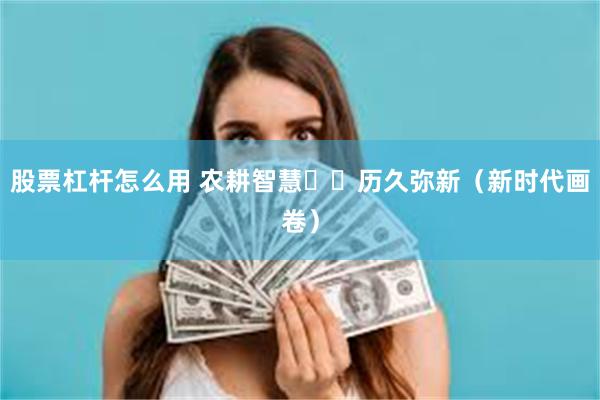 股票杠杆怎么用 农耕智慧  历久弥新（新时代画卷）