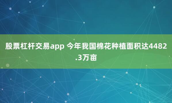 股票杠杆交易app 今年我国棉花种植面积达4482.3万亩