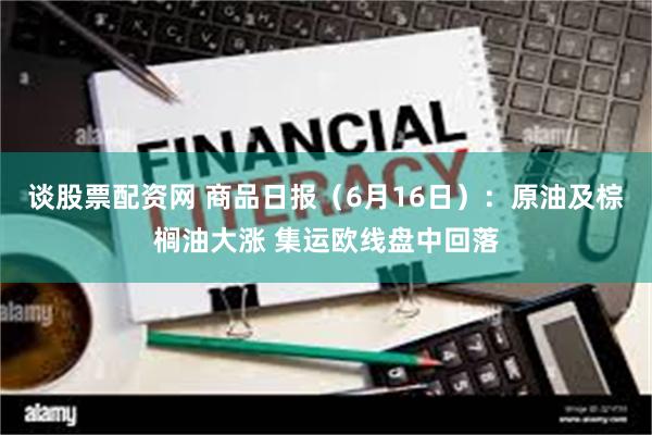 谈股票配资网 商品日报（6月16日）：原油及棕榈油大涨 集运欧线盘中回落