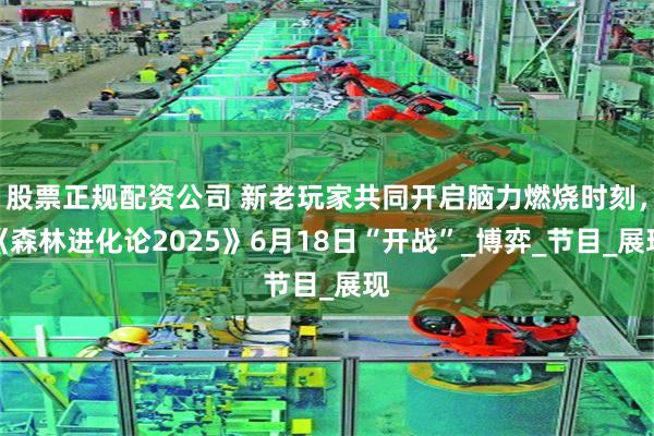 股票正规配资公司 新老玩家共同开启脑力燃烧时刻，《森林进化论2025》6月18日“开战”_博弈_节目_展现