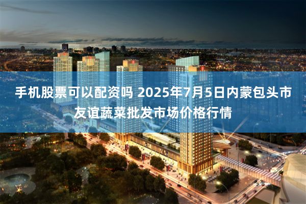 手机股票可以配资吗 2025年7月5日内蒙包头市友谊蔬菜批发市场价格行情