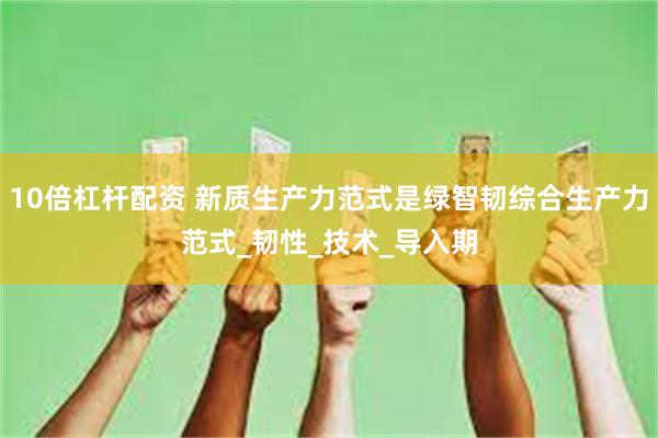 10倍杠杆配资 新质生产力范式是绿智韧综合生产力范式_韧性_技术_导入期