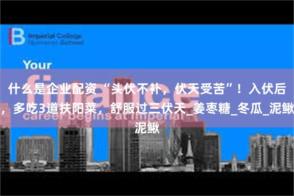 什么是企业配资 “头伏不补，伏天受苦”！入伏后，多吃3道扶阳菜，舒服过三伏天_姜枣糖_冬瓜_泥鳅