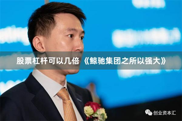 股票杠杆可以几倍 《鲸驰集团之所以强大》