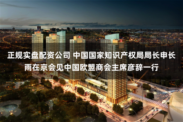 正规实盘配资公司 中国国家知识产权局局长申长雨在京会见中国欧盟商会主席彦辞一行