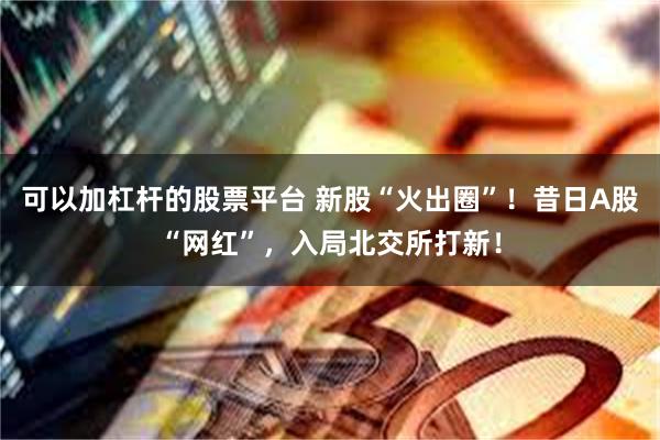 可以加杠杆的股票平台 新股“火出圈”！昔日A股“网红”，入局北交所打新！