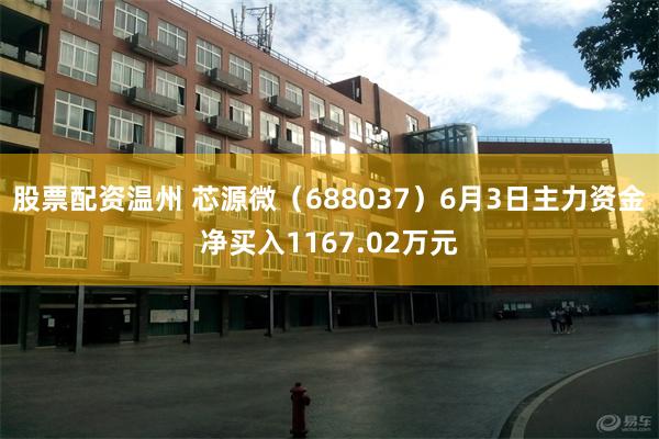 股票配资温州 芯源微（688037）6月3日主力资金净买入1167.02万元
