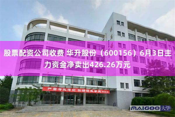 股票配资公司收费 华升股份（600156）6月3日主力资金净卖出426.26万元