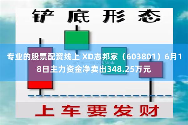 专业的股票配资线上 XD志邦家（603801）6月18日主力资金净卖出348.25万元