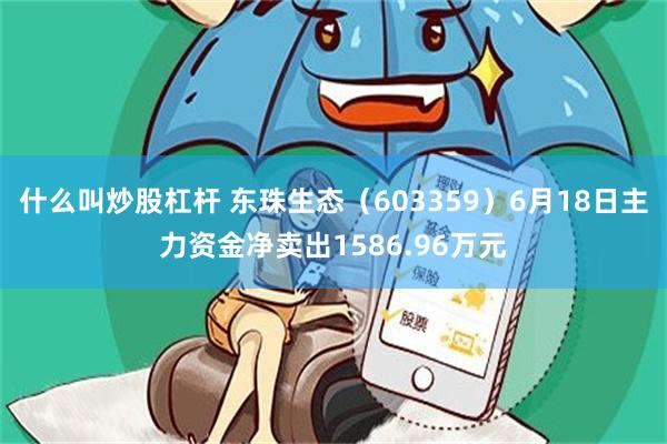 什么叫炒股杠杆 东珠生态（603359）6月18日主力资金净卖出1586.96万元