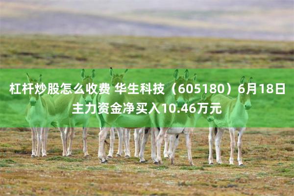 杠杆炒股怎么收费 华生科技（605180）6月18日主力资金净买入10.46万元