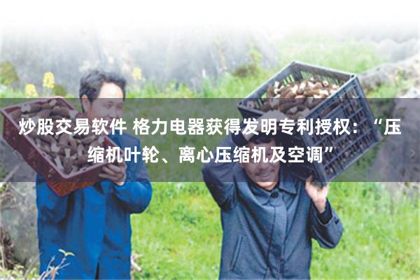 炒股交易软件 格力电器获得发明专利授权：“压缩机叶轮、离心压缩机及空调”