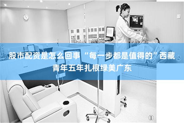 股市配资是怎么回事 “每一步都是值得的”西藏青年五年扎根绿美广东