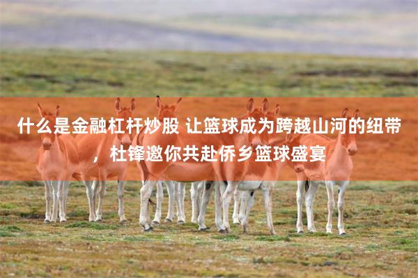 什么是金融杠杆炒股 让篮球成为跨越山河的纽带，杜锋邀你共赴侨乡篮球盛宴