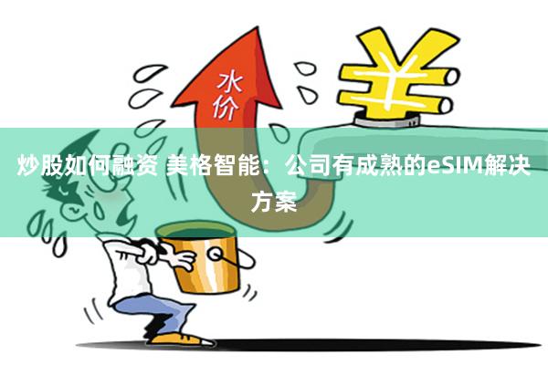 炒股如何融资 美格智能：公司有成熟的eSIM解决方案
