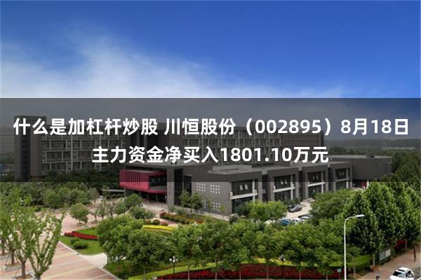 什么是加杠杆炒股 川恒股份（002895）8月18日主力资金净买入1801.10万元