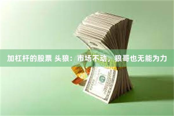 加杠杆的股票 头狼：市场不动，狼哥也无能为力