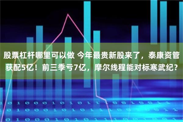 股票杠杆哪里可以做 今年最贵新股来了，泰康资管获配5亿！前三季亏7亿，摩尔线程能对标寒武纪？