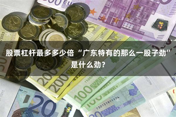 股票杠杆最多多少倍 “广东特有的那么一股子劲”是什么劲？