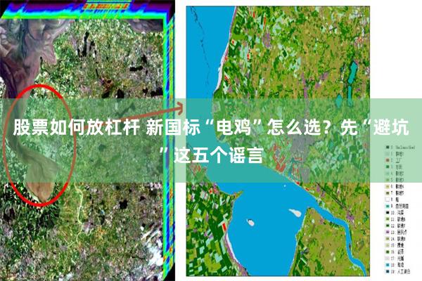 股票如何放杠杆 新国标“电鸡”怎么选？先“避坑”这五个谣言