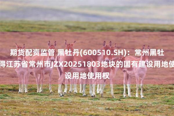 期货配资监管 黑牡丹(600510.SH)：常州黑牡丹竞得江苏省常州市JZX20251803地块的国有建设用地使用权