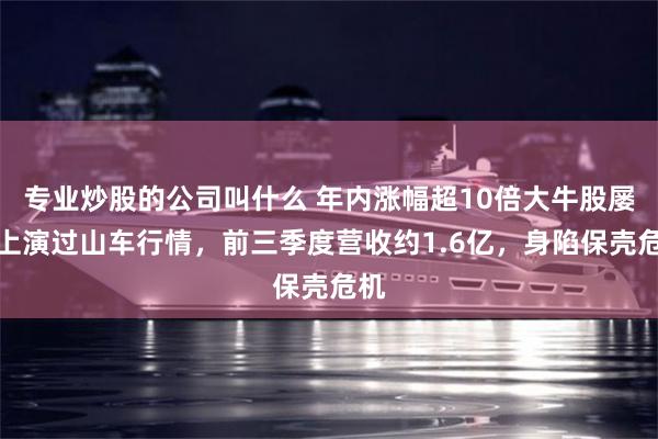 专业炒股的公司叫什么 年内涨幅超10倍大牛股屡屡上演过山车行情，前三季度营收约1.6亿，身陷保壳危机