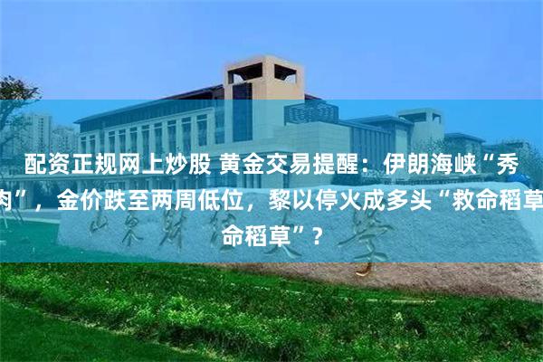 配资正规网上炒股 黄金交易提醒：伊朗海峡“秀肌肉”，金价跌至两周低位，黎以停火成多头“救命稻草”？