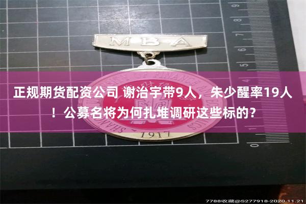 正规期货配资公司 谢治宇带9人,朱少醒率19人!公募名将为何扎堆调研这些标的?