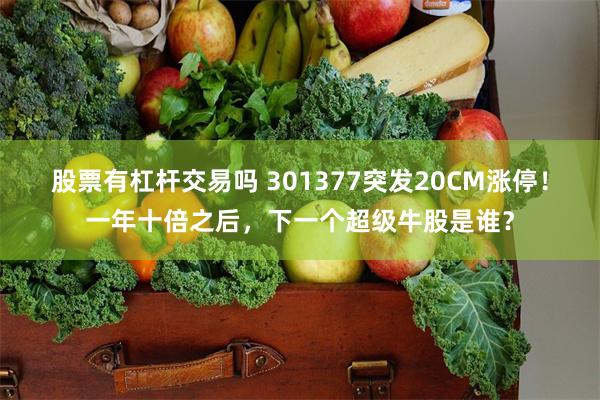 股票有杠杆交易吗 301377突发20CM涨停!一年十倍之后,下一个超级牛股是谁?