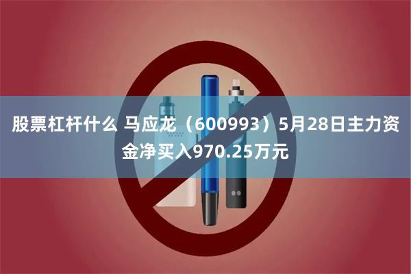 股票杠杆什么 马应龙（600993）5月28日主力资金净买入970.25万元