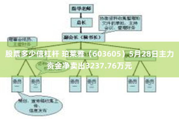 股票多少倍杠杆 珀莱雅（603605）5月28日主力资金净卖出3237.76万元