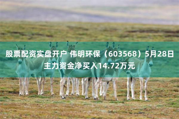 股票配资实盘开户 伟明环保（603568）5月28日主力资金净买入14.72万元