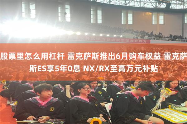 股票里怎么用杠杆 雷克萨斯推出6月购车权益 雷克萨斯ES享5年0息 NX/RX至高万元补贴