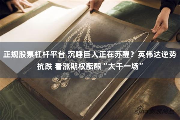 正规股票杠杆平台 沉睡巨人正在苏醒?英伟达逆势抗跌 看涨期权酝酿“大干一场”