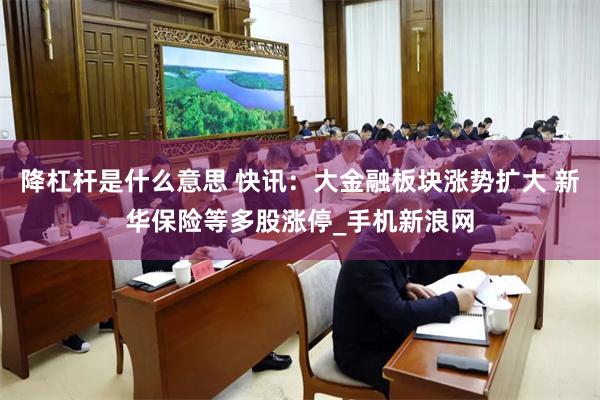 降杠杆是什么意思 快讯：大金融板块涨势扩大 新华保险等多股涨停_手机新浪网