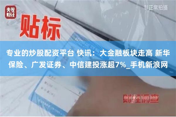 专业的炒股配资平台 快讯：大金融板块走高 新华保险、广发证券、中信建投涨超7%_手机新浪网