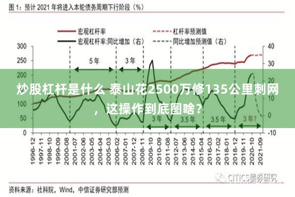 炒股杠杆是什么 泰山花2500万修135公里刺网,这操作到底图啥?