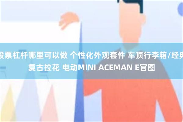 股票杠杆哪里可以做 个性化外观套件 车顶行李箱/经典复古拉花 电动MINI ACEMAN E官图