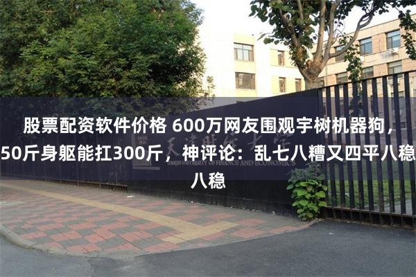 股票配资软件价格 600万网友围观宇树机器狗,50斤身躯能扛300斤,神评论:乱七八糟又四平八稳