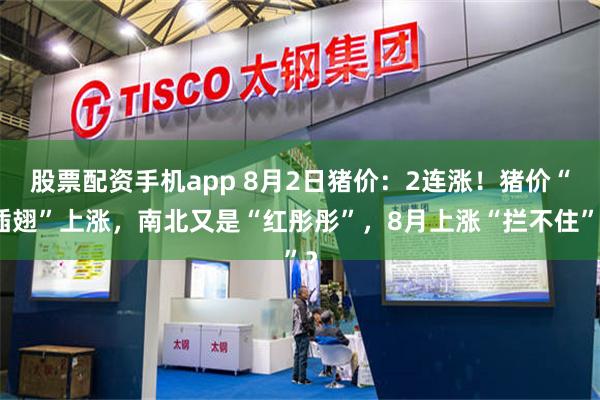 股票配资手机app 8月2日猪价：2连涨！猪价“插翅”上涨，南北又是“红彤彤”，8月上涨“拦不住”？