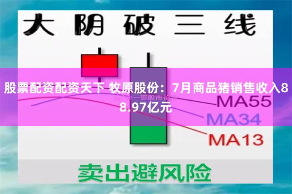 股票配资配资天下 牧原股份：7月商品猪销售收入88.97亿元