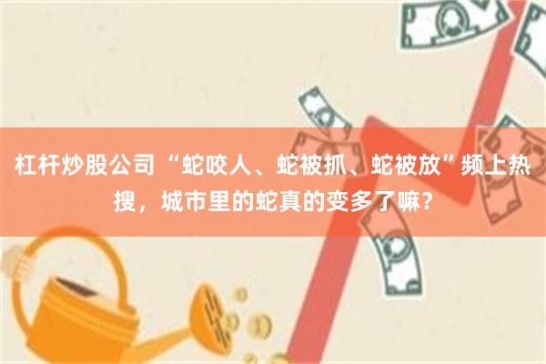 杠杆炒股公司 “蛇咬人、蛇被抓、蛇被放”频上热搜，城市里的蛇真的变多了嘛？