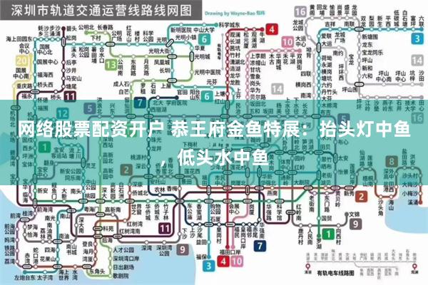 网络股票配资开户 恭王府金鱼特展：抬头灯中鱼，低头水中鱼