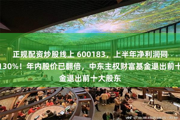 正规配资炒股线上 600183，上半年净利润同比增超130%！年内股价已翻倍，中东主权财富基金退出前十大股东