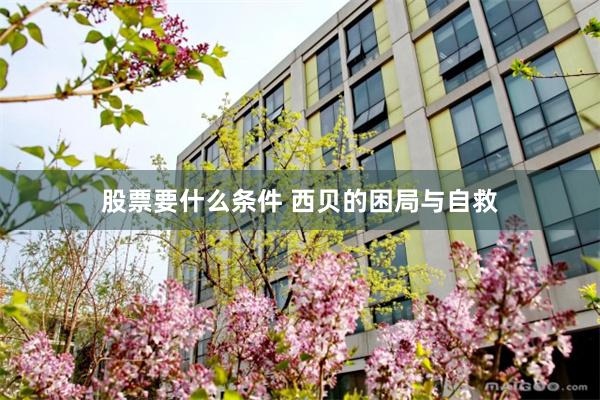 股票要什么条件 西贝的困局与自救
