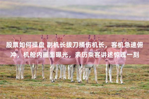 股票如何操盘 副机长拔刀捅伤机长，客机急速俯冲，机舱内画面曝光，亲历乘客讲述惊魂一刻