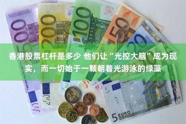 香港股票杠杆是多少 他们让“光控大脑”成为现实，而一切始于一颗朝着光游泳的绿藻